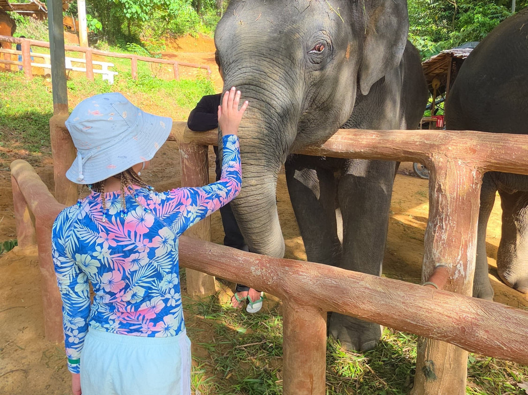 Phuket Elephant Care-奈通必去景点