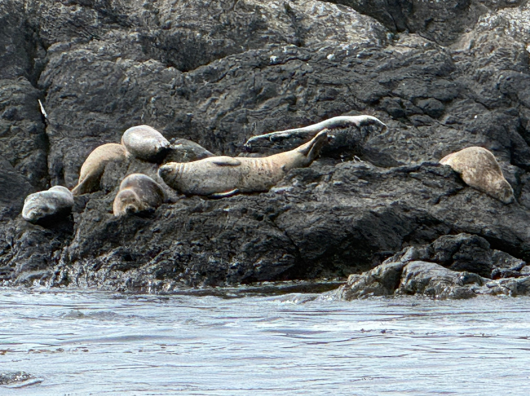 Jamie's Whaling Station and Adventure Centre - Ucluelet-尤克卢利特必去景点