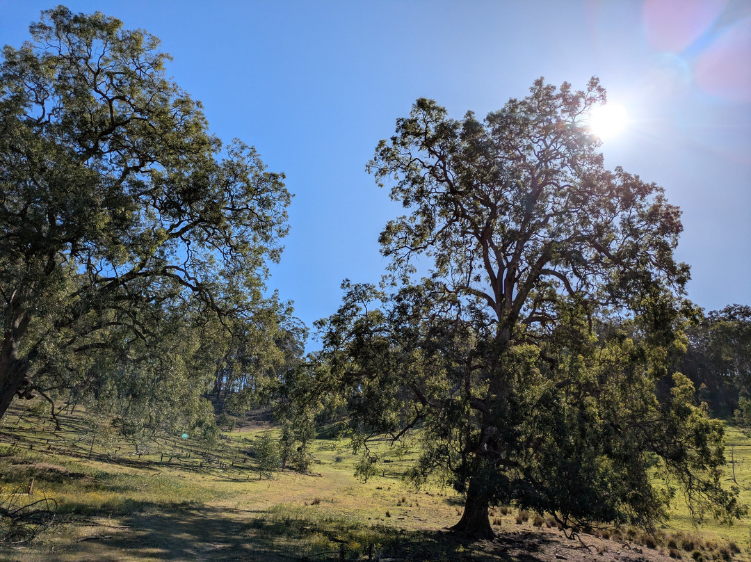 Chapman Valley Horse Riding-Howes Valley必去景点
