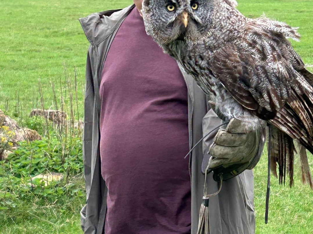 UK Owl And Raptor Centre-Groombridge必去景点