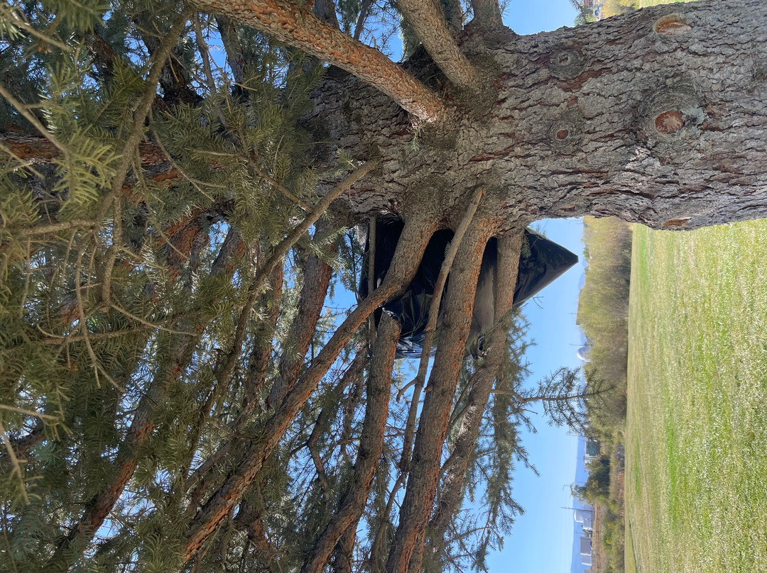 Glen Lake Rotary Park - Bozeman Beach (formerly East Gallatin Recreation Area)-博兹曼必去景点