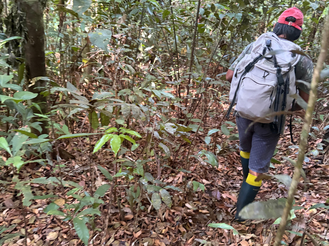 Amazon Antonio Jungle Tours-玛瑙斯必去景点