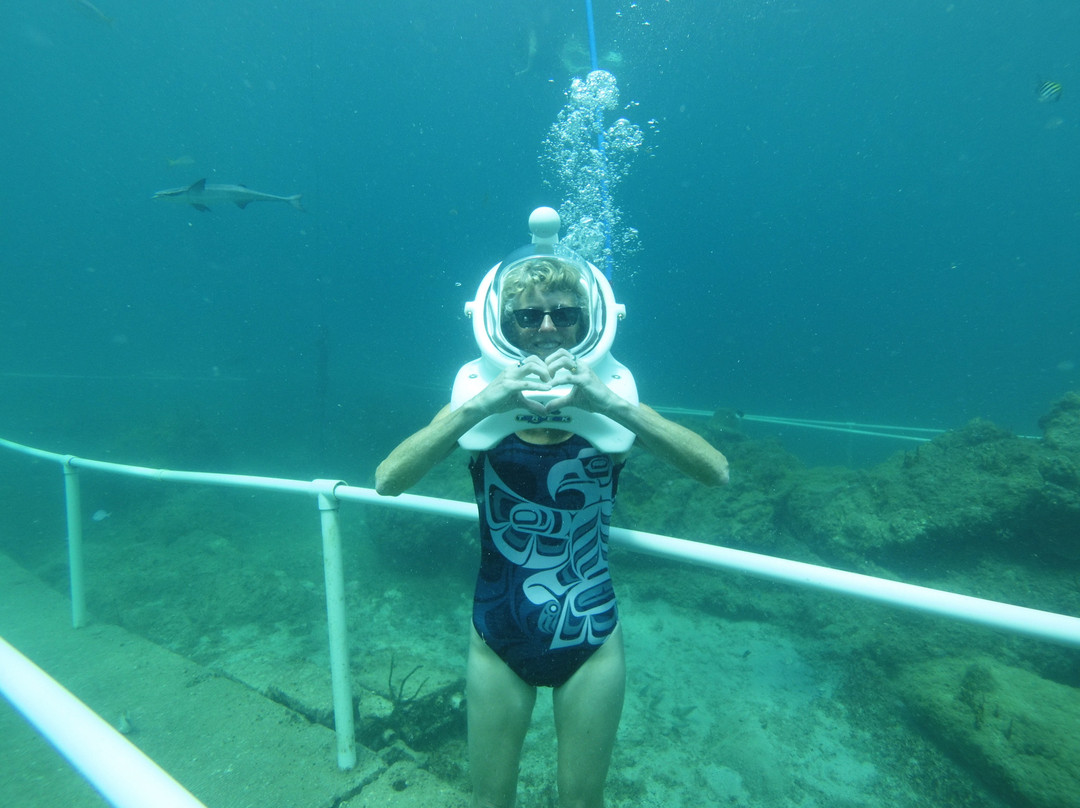 Sea Trek St. Maarten-菲利普斯堡必去景点