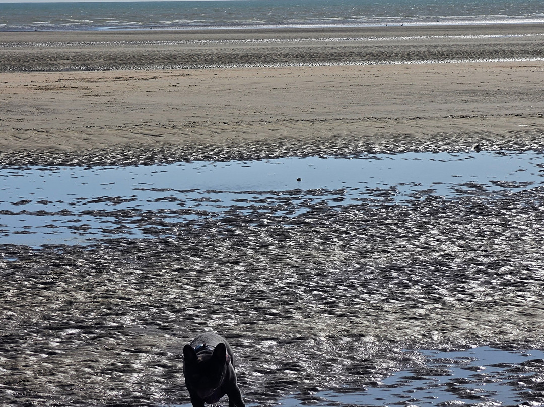 Camber Sands-Camber必去景点