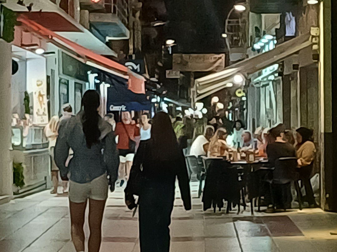 伏尔加酒店主图