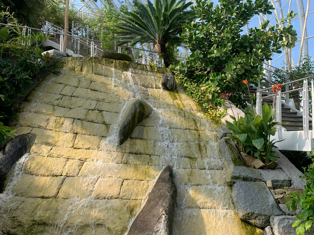 Myriad Botanical Gardens-俄克拉何马城必去景点