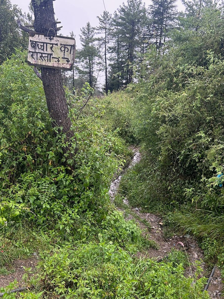 泰地欧赫希米拉度假村及水疗中心-旅行者