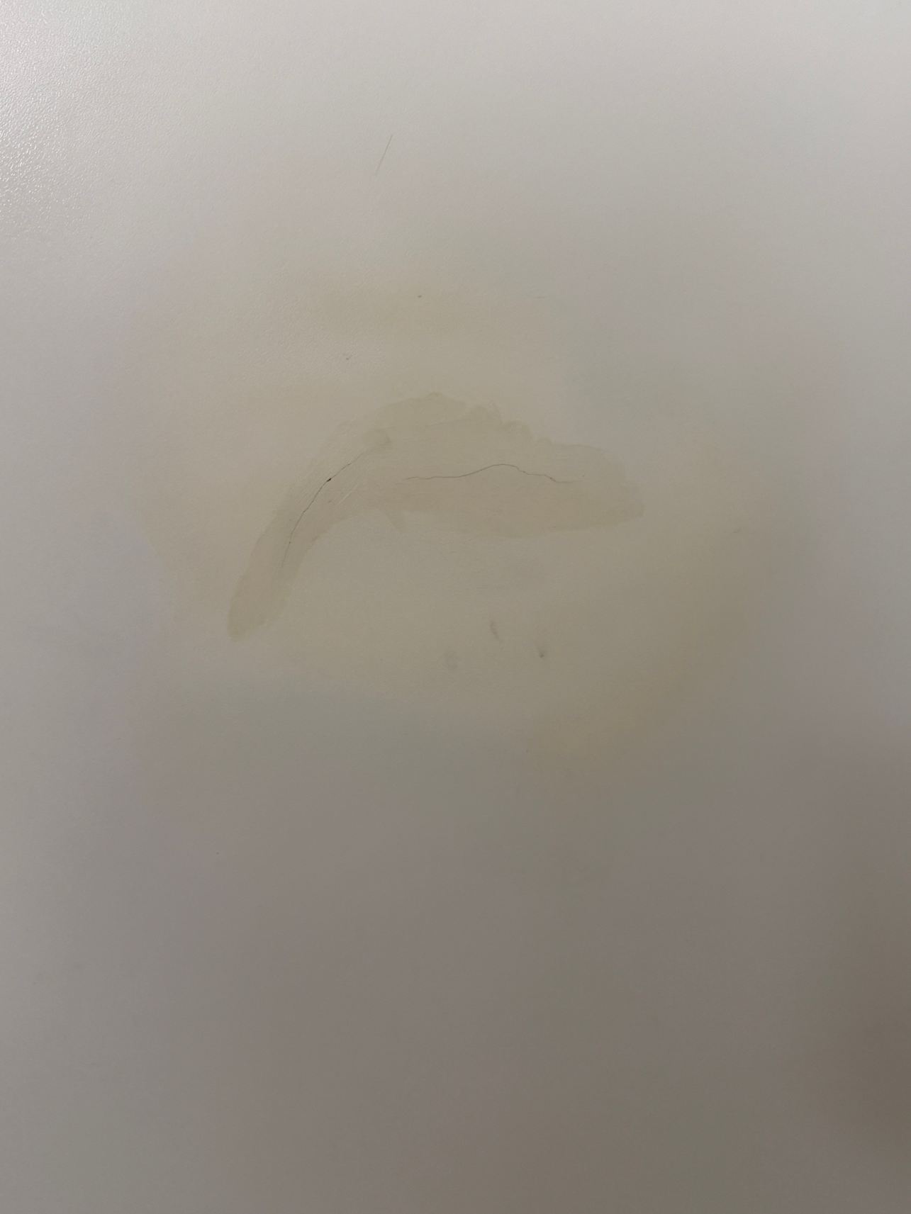 温德姆格里利戴斯酒店及套房-旅行者