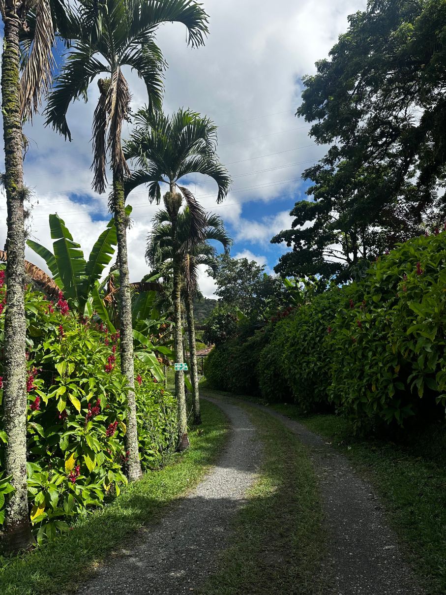 Hacienda Venecia Hostel-旅行者