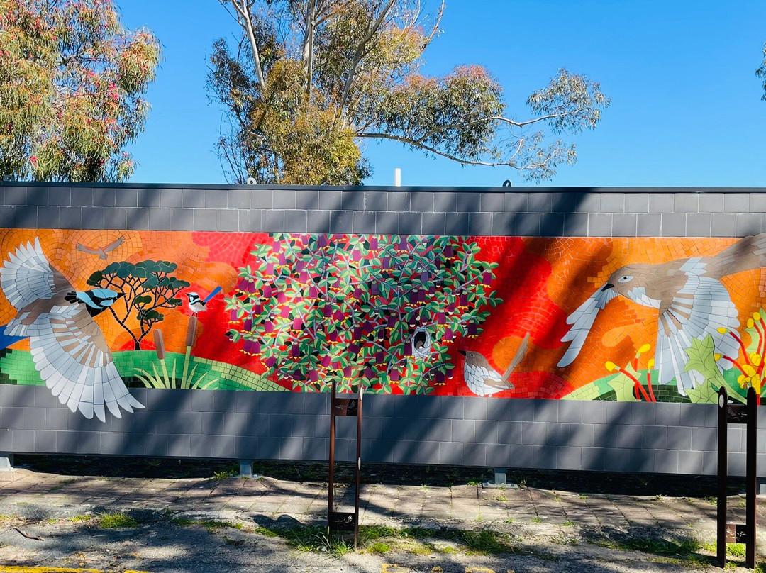 Coonalpyn Mosaic Wall-Coonalpyn必去景点