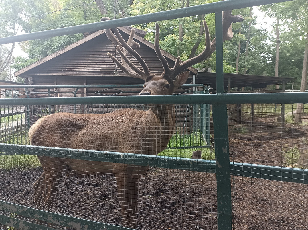 Rostov Zoo-罗斯托夫必去景点