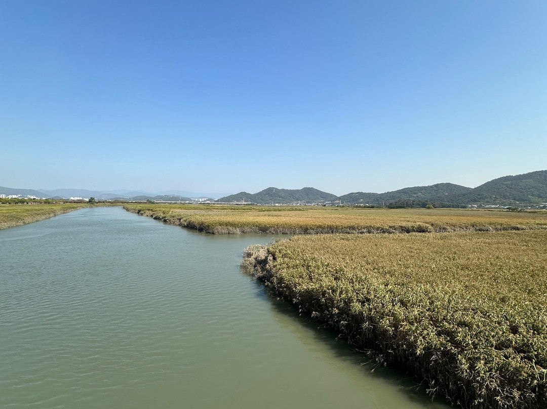 Suncheon Bay Wetland Reserve-顺天市必去景点