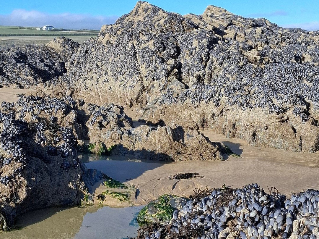 Constantine Bay Beach-帕兹托必去景点