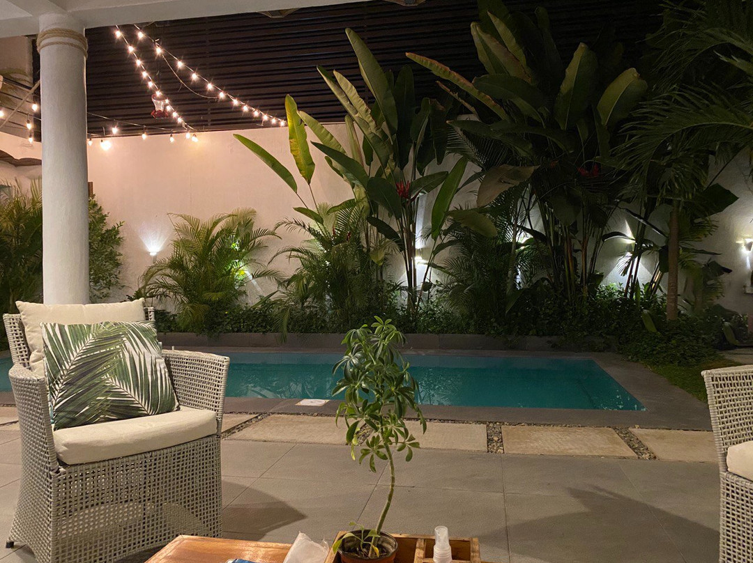 Casa Kauri