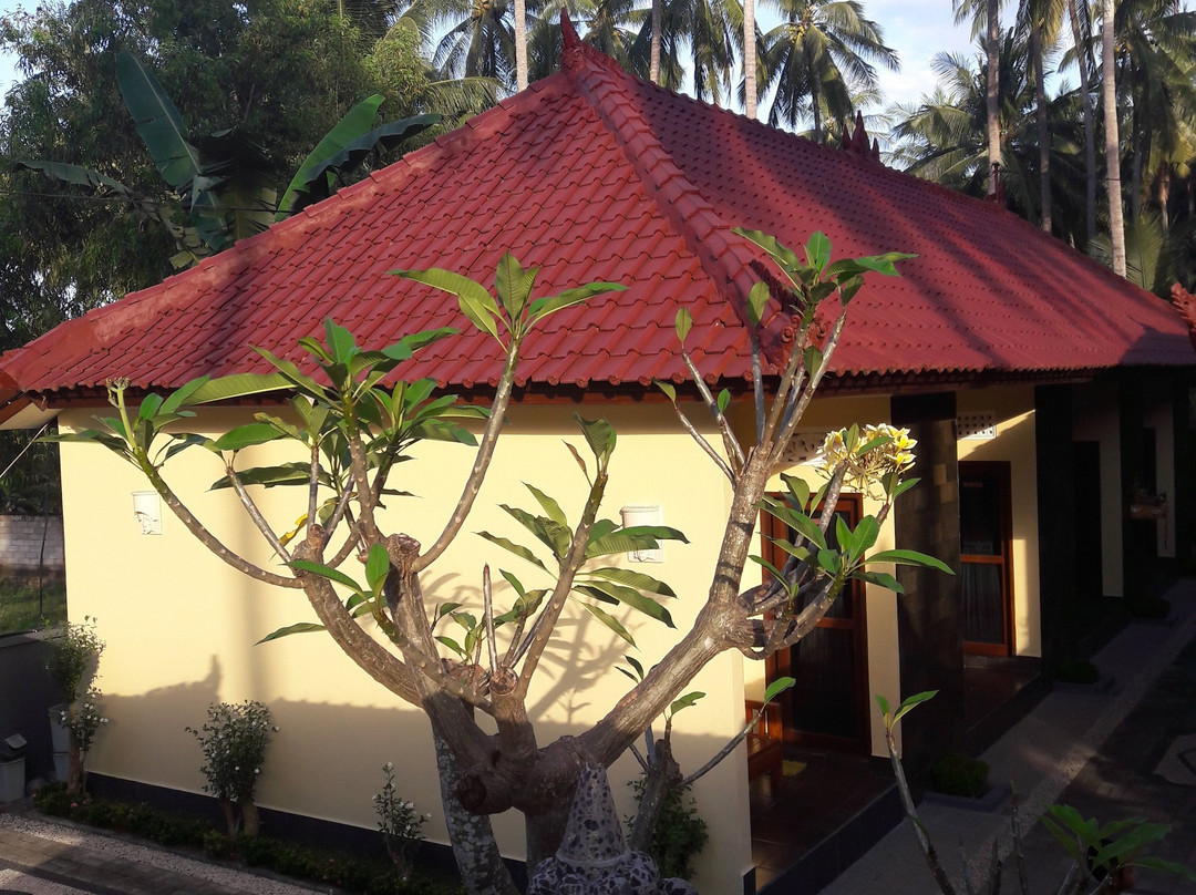 Sandik酒店住宿-Vancy kubu homestay