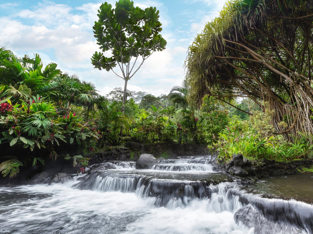 La Fortuna旅游攻略图片