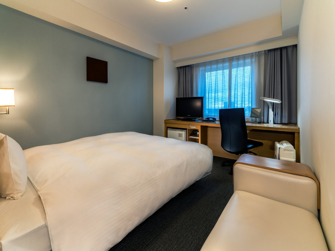 筑波市酒店住宿-Daiwa Roynet Hotel Tsukuba