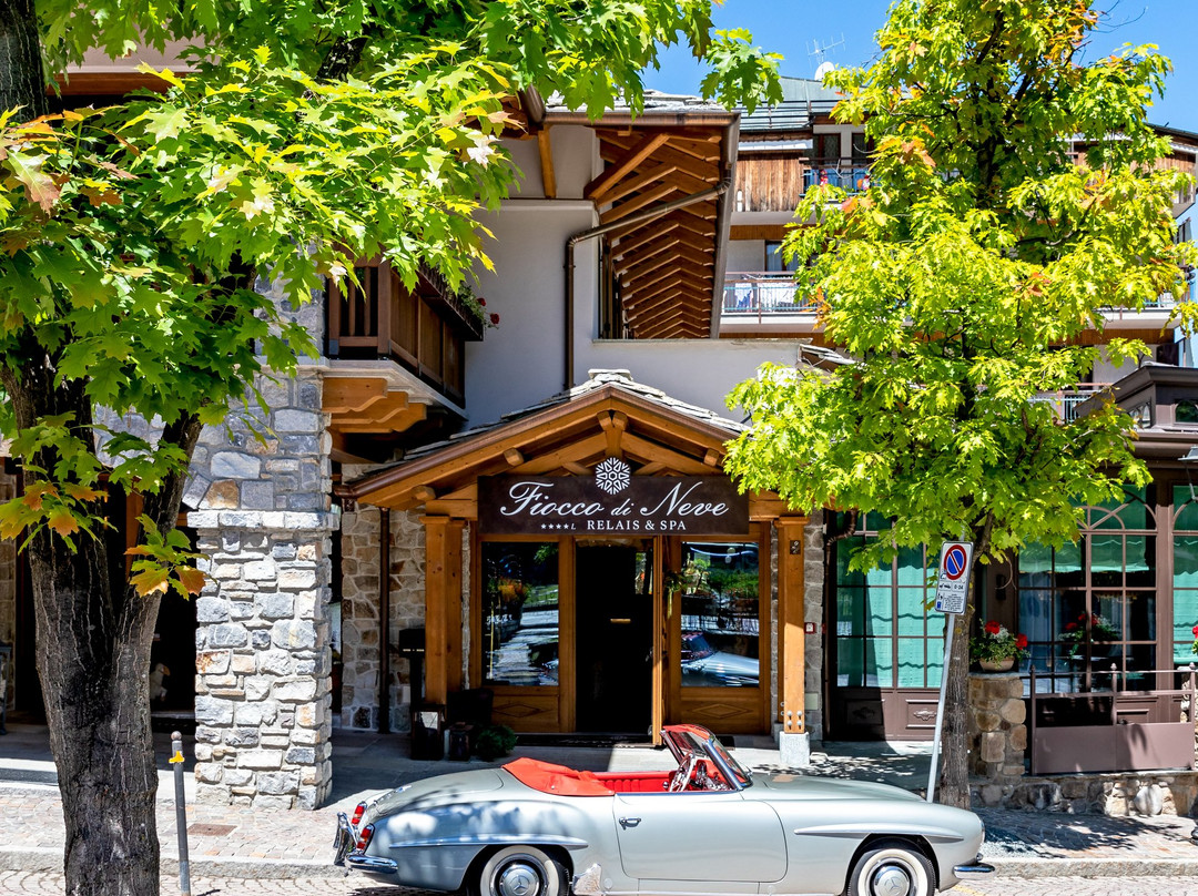 Limone Piemonte酒店住宿-Fiocco di Neve Relais & Spa