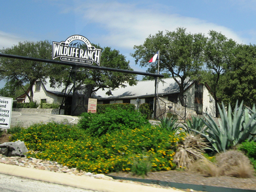 天然桥野生动物牧场-圣安东尼奥市必去景点