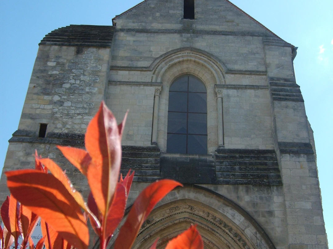 Église Saint-Pierre-des-Minimes景点图片