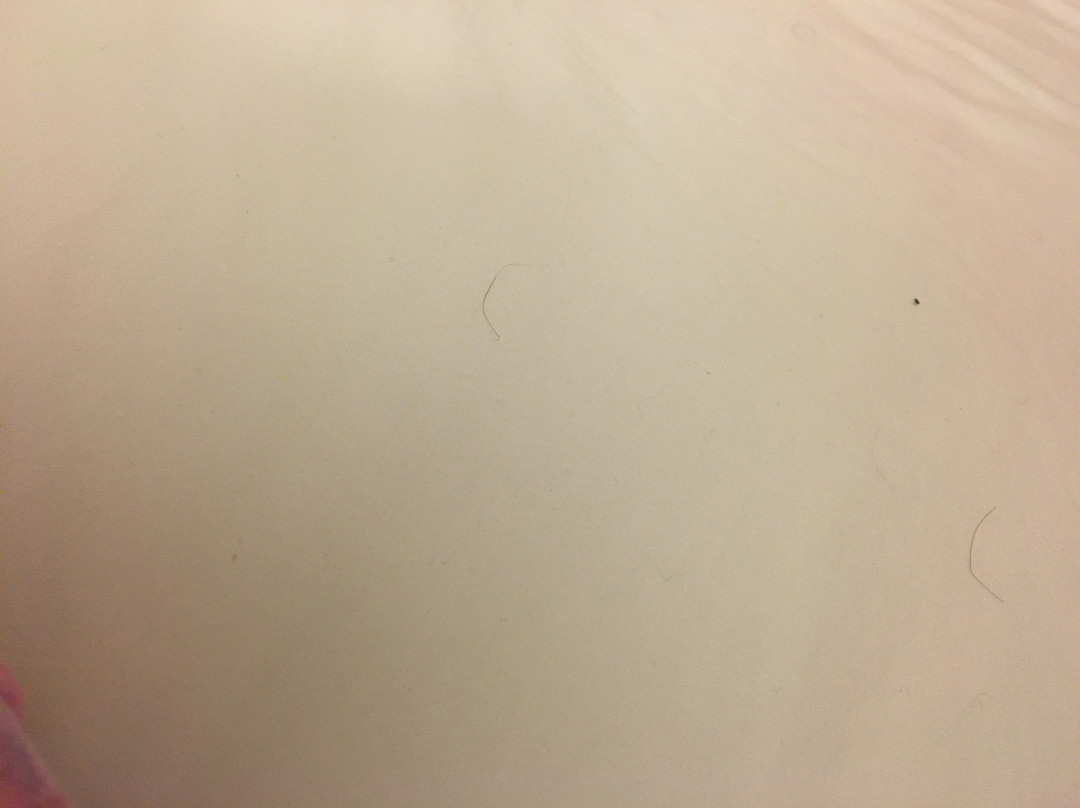 Americas Best Value Inn Anthony/El Paso Area