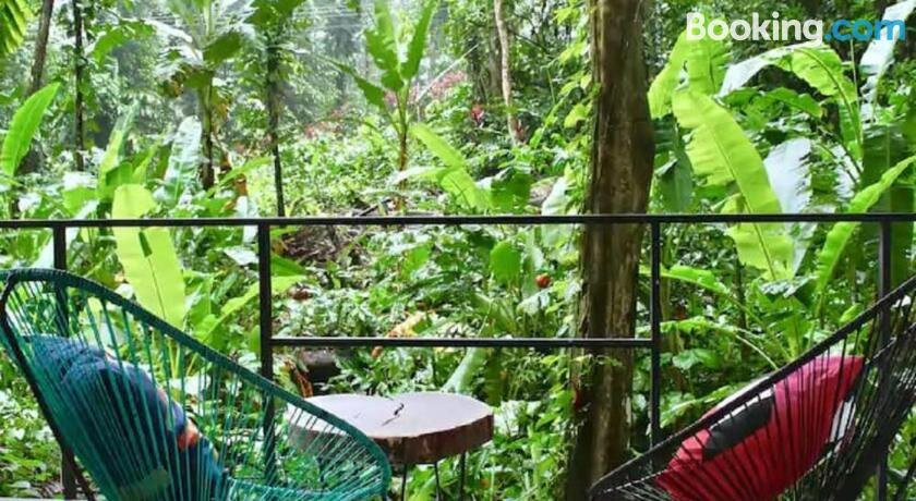 Casa Eden - Modern Peaceful Jungle Apartments主图