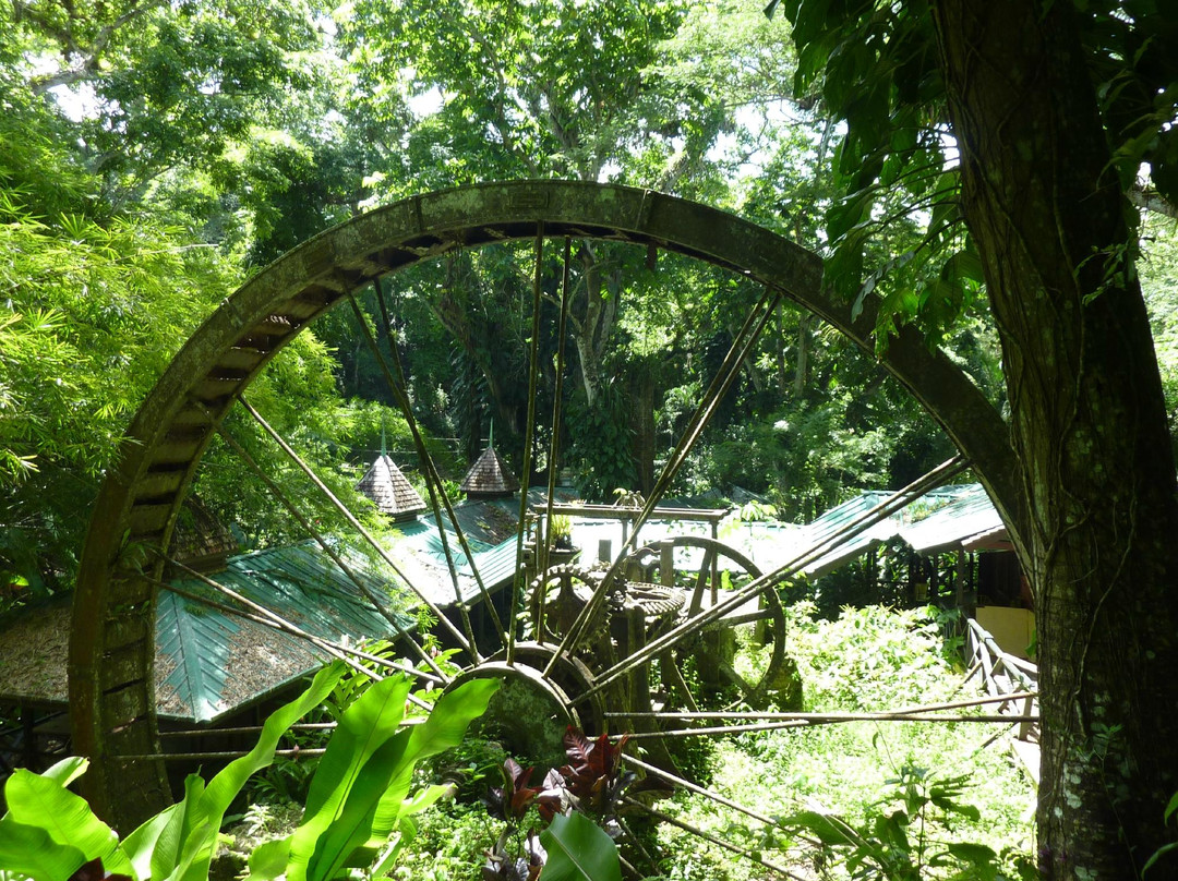 Castara旅游景点-Arnos Vale Waterwheel and Nature Park