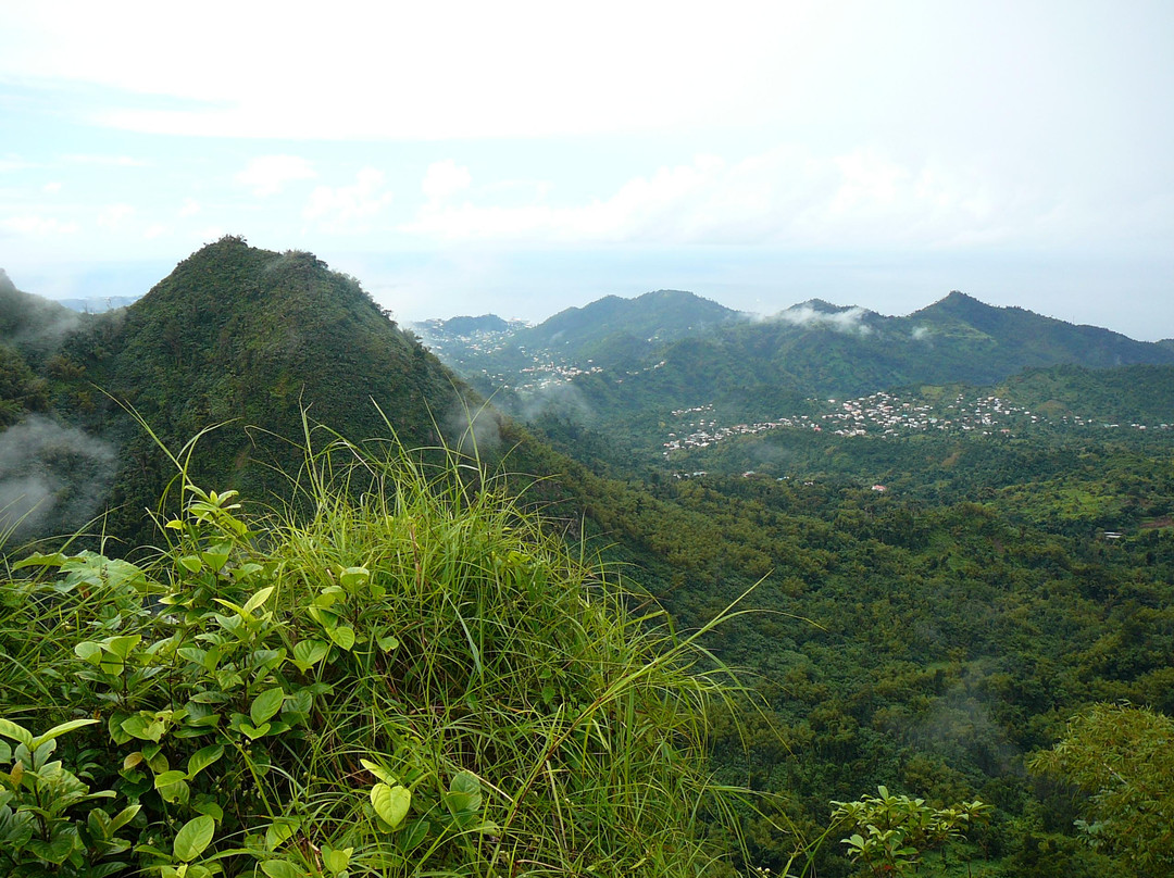 Mount Qua Qua Grenada景点图片