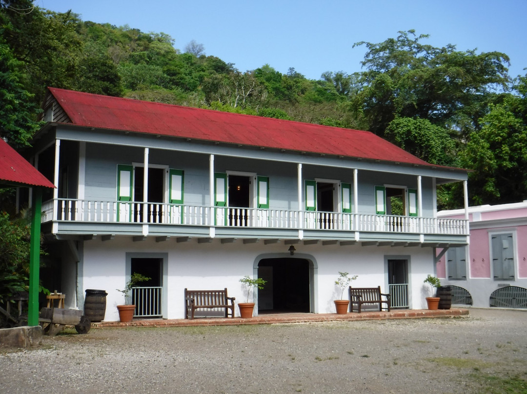 Hacienda Buena Vista景点图片