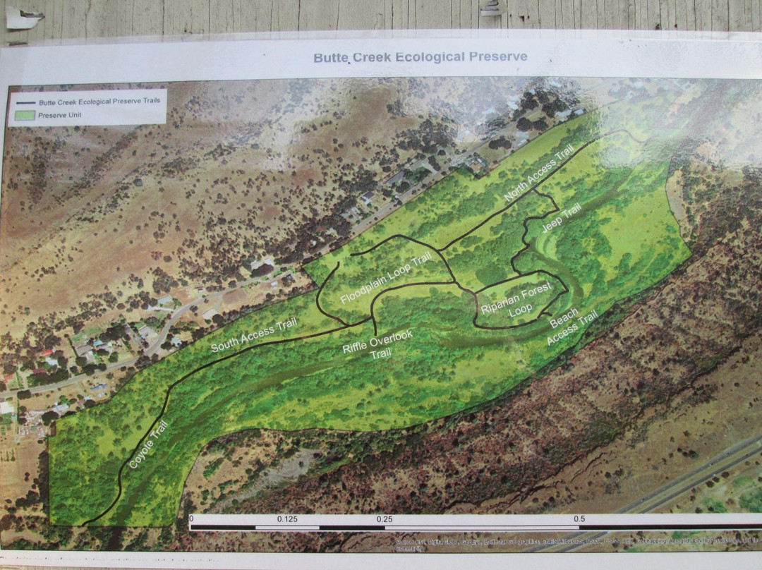 Butte Creek Ecological Preserve