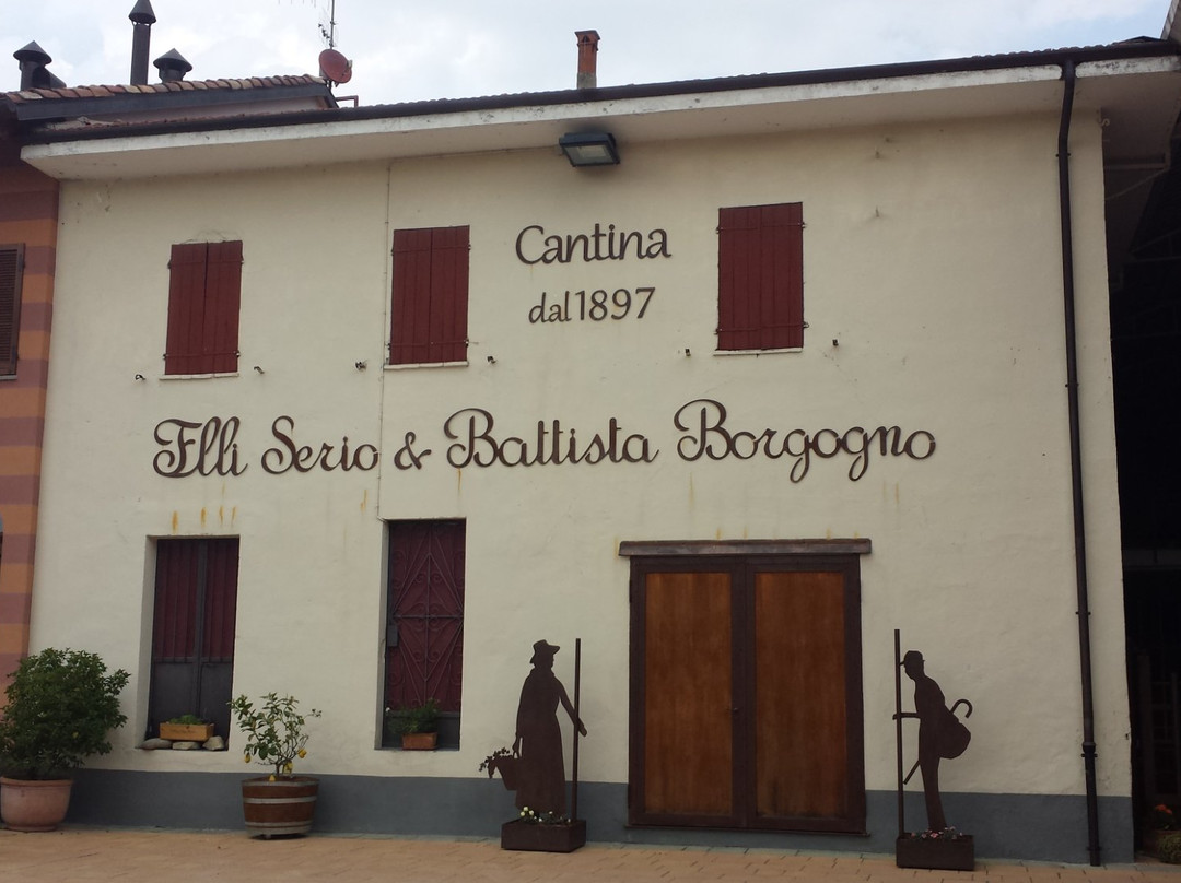 巴罗洛旅游景点-Fratelli Serio & Battista Borgogno