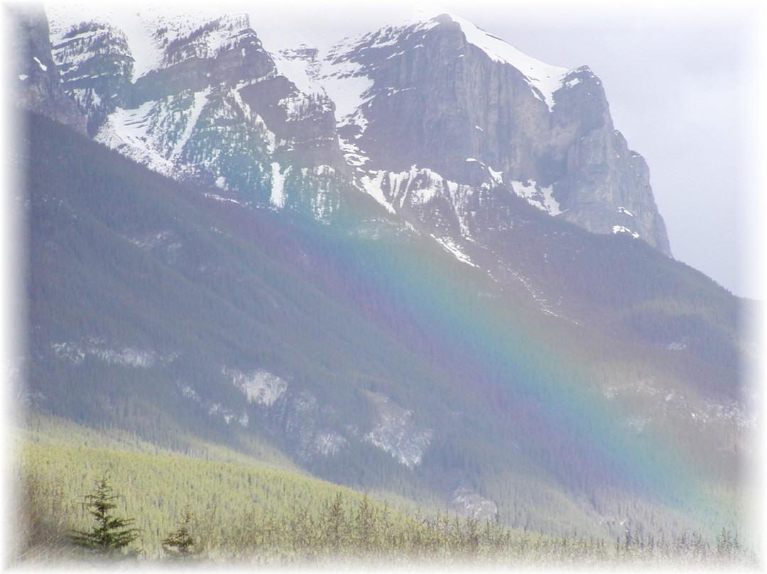 Mount Engadine酒店住宿-Homestead Bed & Breakfast