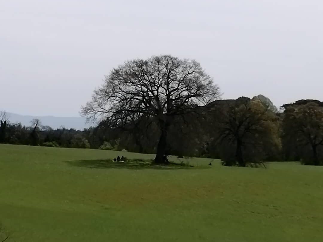 Parco di Veio景点图片