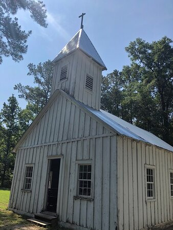 Hobcaw Barony景点图片