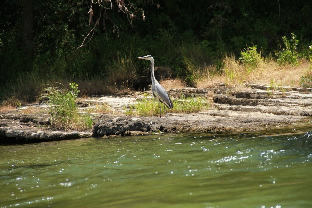 Saint Rome Plage Locations nautiques-Saint-Rome-de-Tarn必去景点