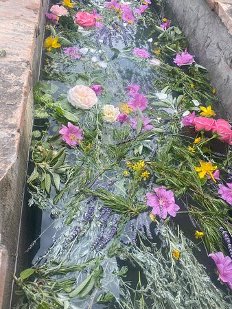 Il Giardino di Pimpinella景点图片