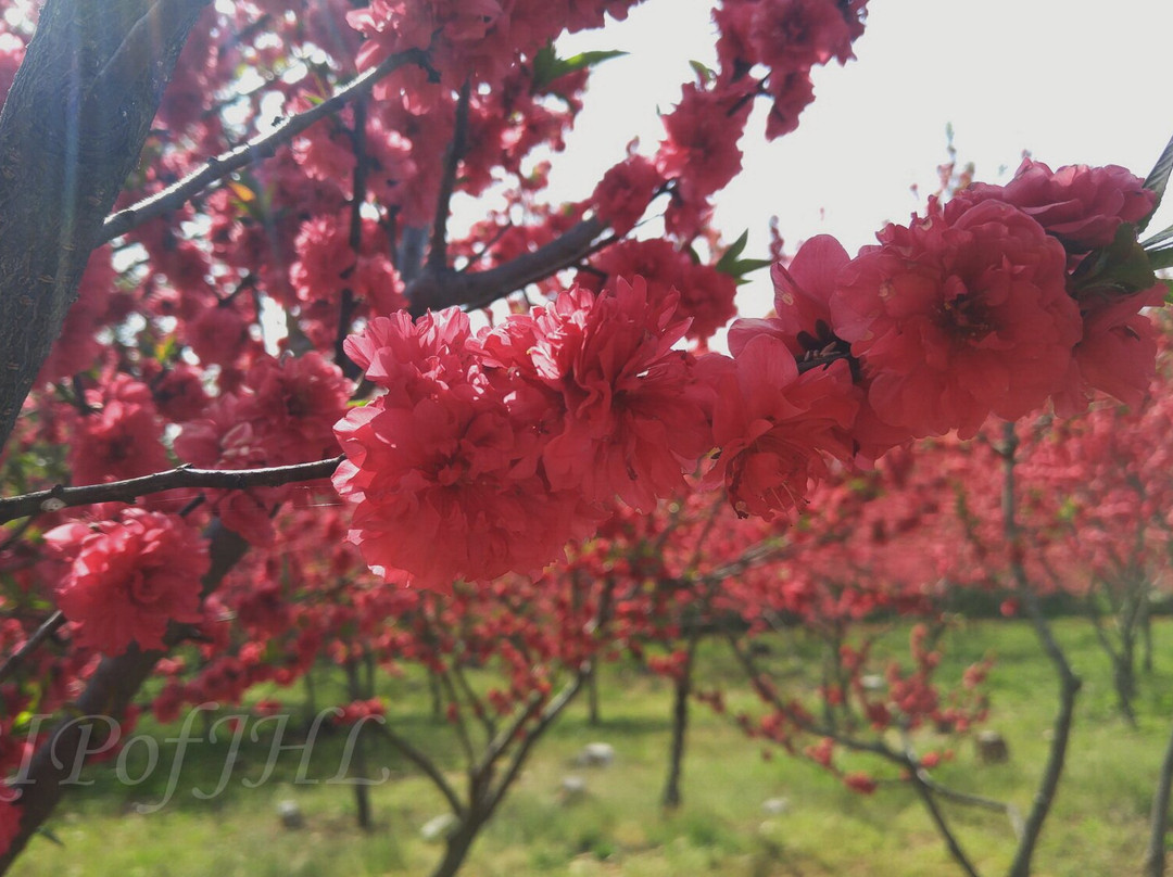 Seongsusan Park-富川市必去景点