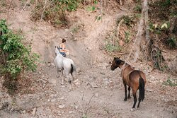 Star Mountain Horseback Riding景点图片