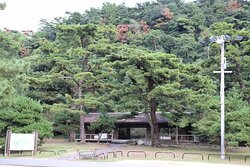 Kotohiki Park景点图片