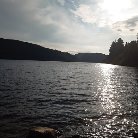 Dam View Cottage B&b主图