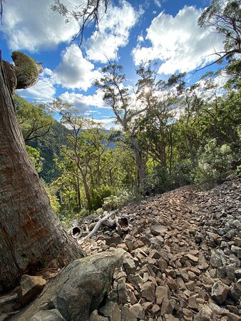 Pelverata Falls Track景点图片