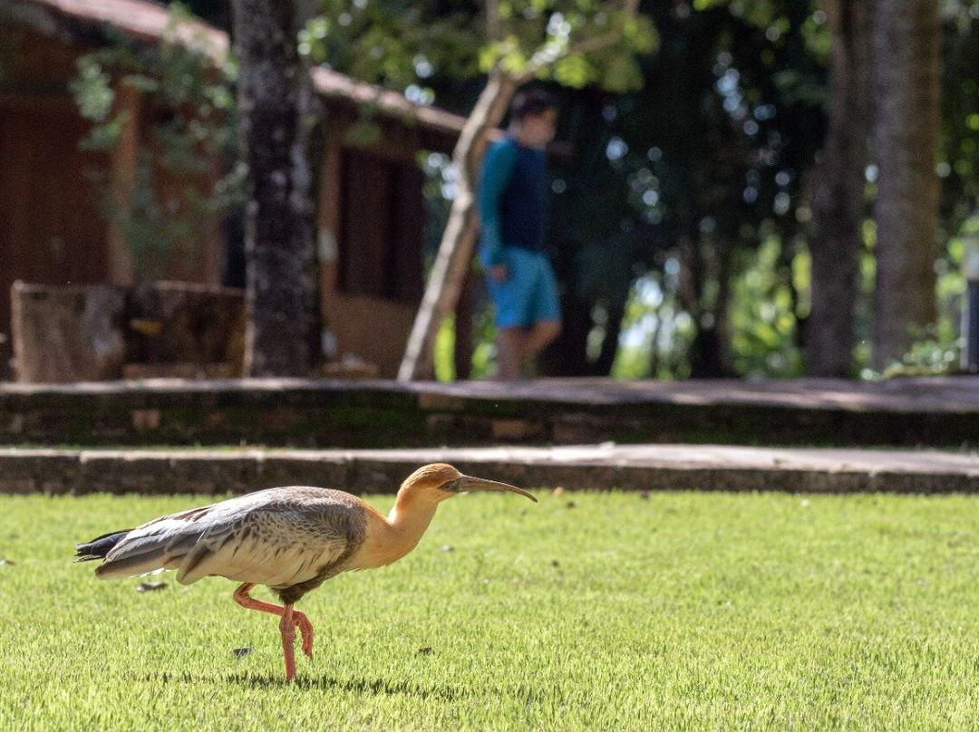Pousada Olho D' Água主图