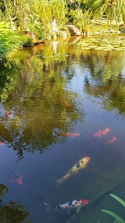 Pousada Mevlana Garden主图