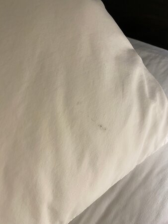 Best Western Plus Country Park Hotel主图