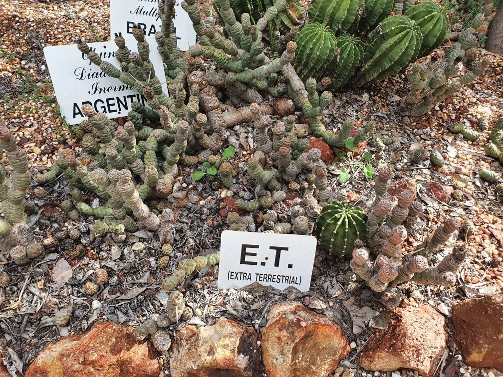 Bevans Black Opal & Cactus Nursery-Lightning Ridge必去景点