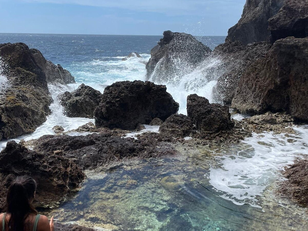 Isla Aruba Private Tours-奥腊涅斯塔德必去景点