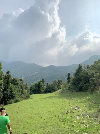 Suro Treehouse Resort主图