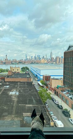 The Hoxton, Williamsburg-酒店景观