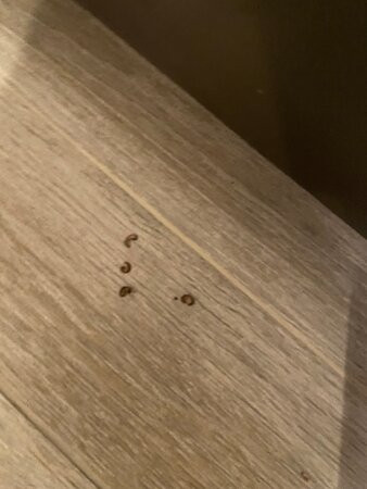 Cottages & Suites Of Geneva National主图