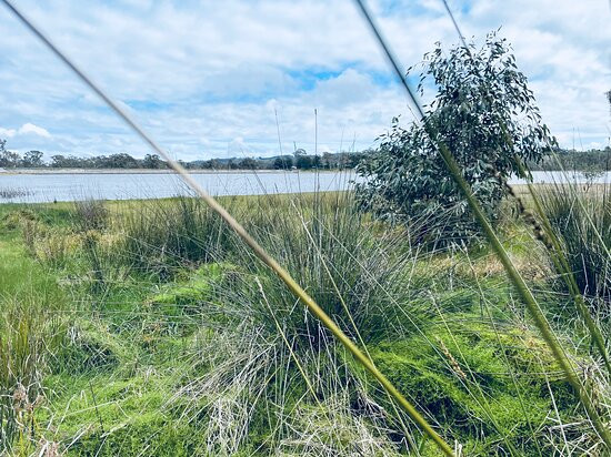 Barkers Creek Reservoir-Harcourt必去景点